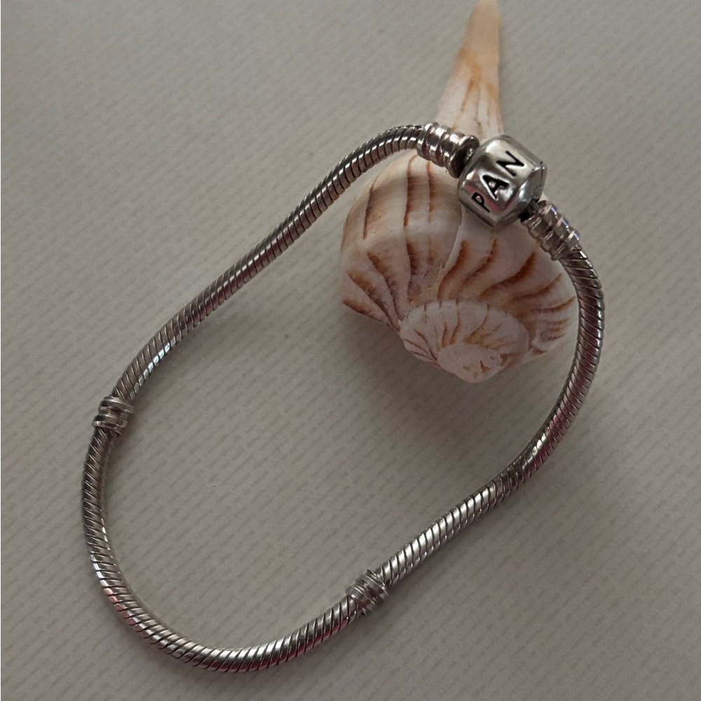 Pandora Moments Bracelet - Used